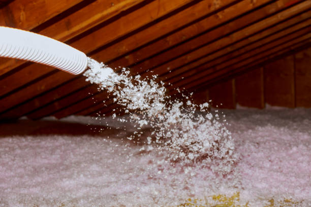 Best Types of Insulation in Bono, AR