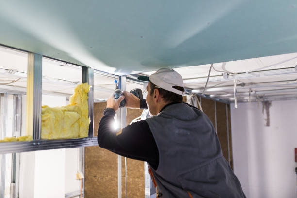 Best Residential Insulation in Bono, AR