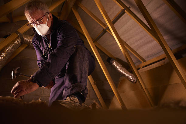 Best Commercial Insulation in Bono, AR